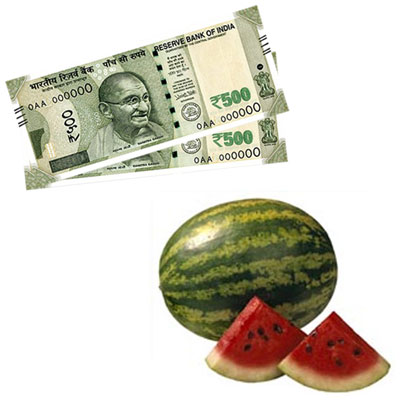 "Cash Rs.1001 , Watermelon - 1 piece - Click here to View more details about this Product
